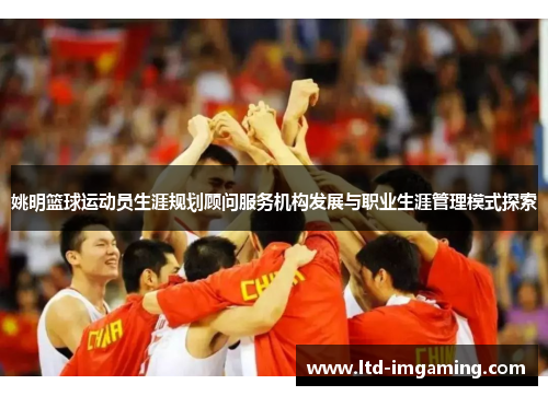 姚明篮球运动员生涯规划顾问服务机构发展与职业生涯管理模式探索