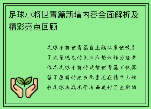 足球小将世青篇新增内容全面解析及精彩亮点回顾