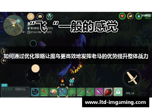 如何通过优化策略让魔鸟更高效地发挥老马的优势提升整体战力